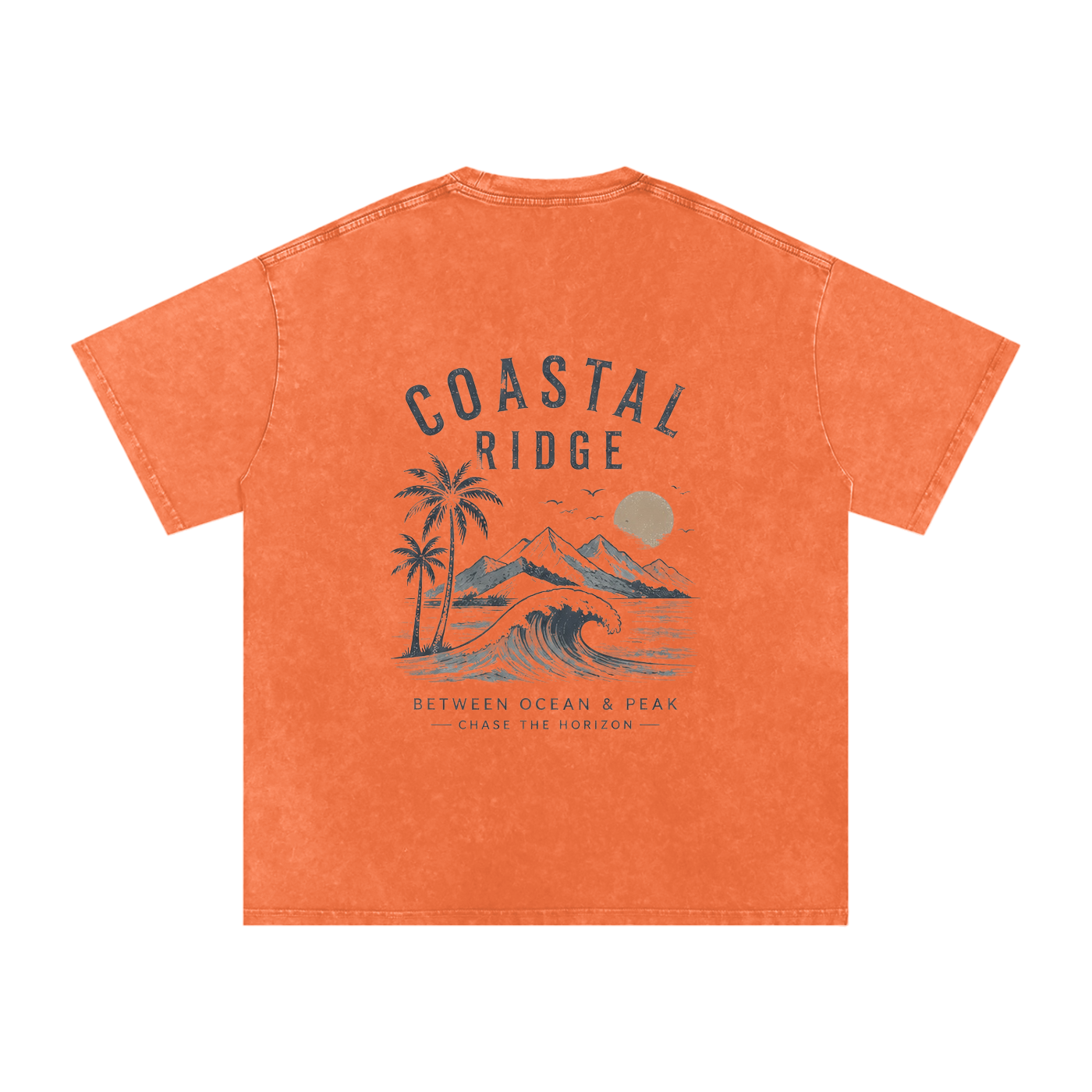 COASTAL RIDGE Light Colors Snow Washed Oversized Cotton T-Shirt
